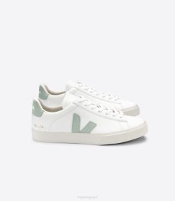 belgique Veja campo cuir sans chrome blanc matcha 8LHZ17