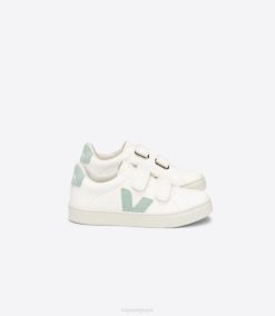 belgique Veja esplar cuir sans chrome blanc matcha 8LHZ329