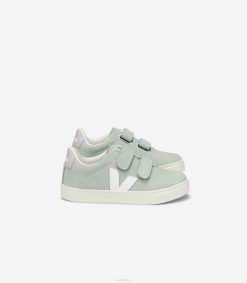 belgique Veja esplar nubuck blanc matcha 8LHZ340