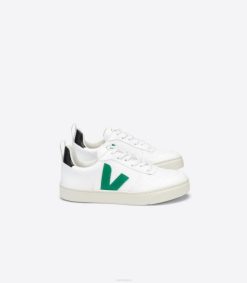 belgique Veja v-10 lacets cwl blanc émeraude noir 8LHZ368